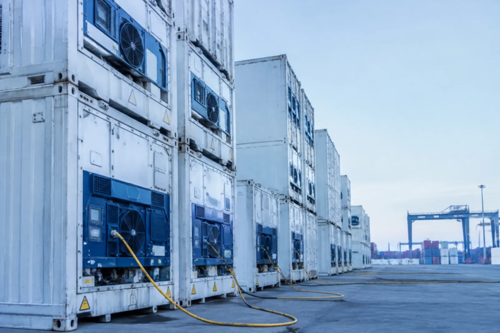 Reefer & Perishables services by NSL